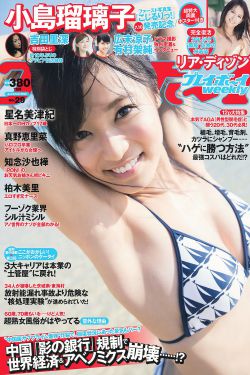 丁宝桢电视剧在线播放